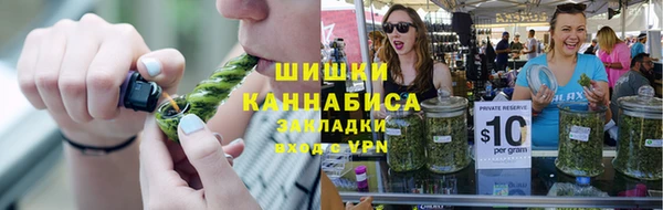 spice Вяземский