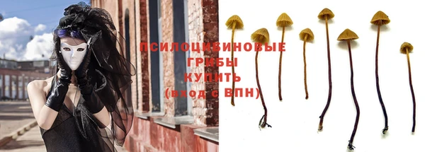 соль ск Вязники