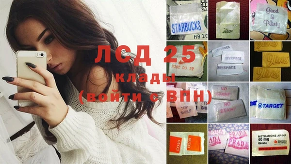 spice Вяземский