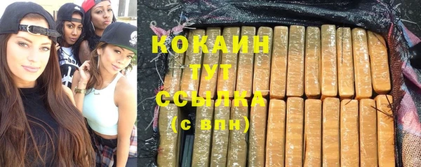 spice Вяземский