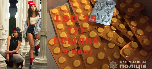 spice Вяземский