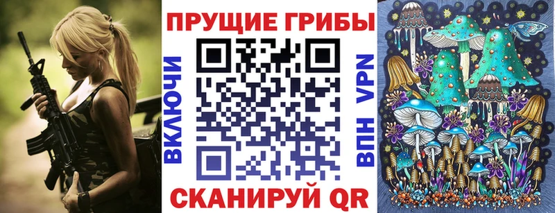 купить наркоту  Керчь  mega как войти  Псилоцибиновые грибы мицелий 